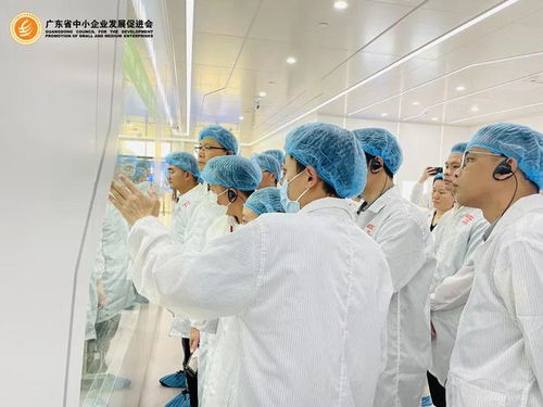 會員專享 探秘世界一流透明工廠，開啟工業智造新視界